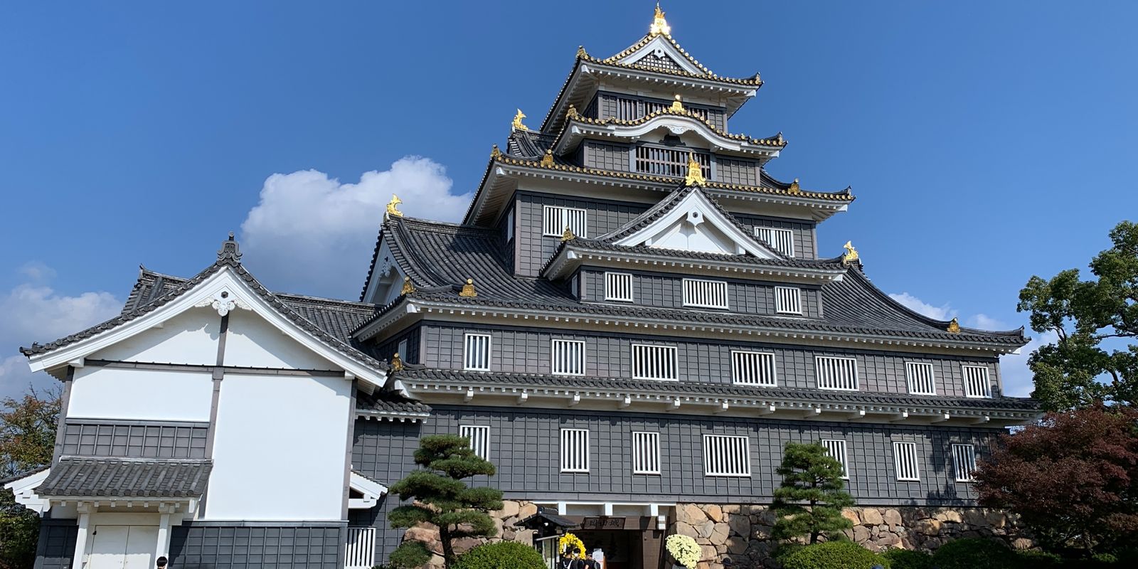 Page Header Background